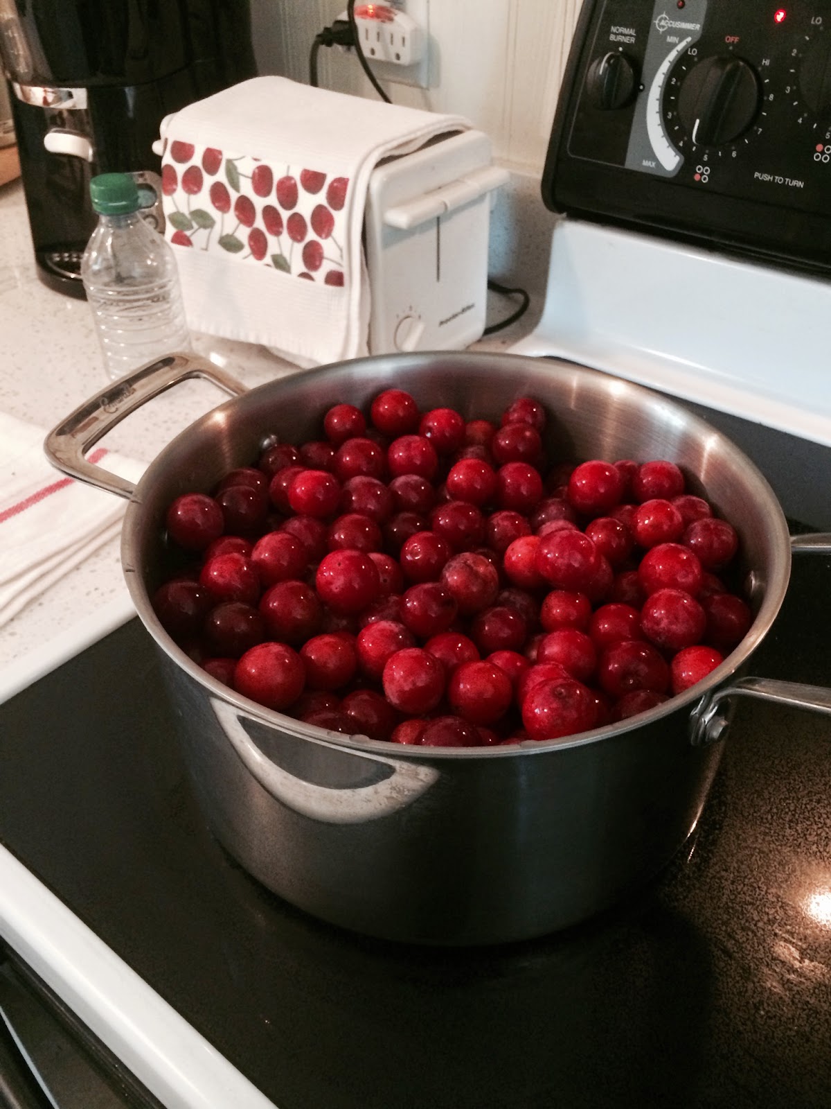Just Cooking! Wild Plum Jelly
