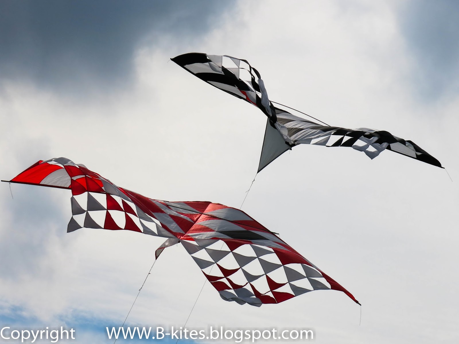 Bkites Rijsbergen Vliegerfeest