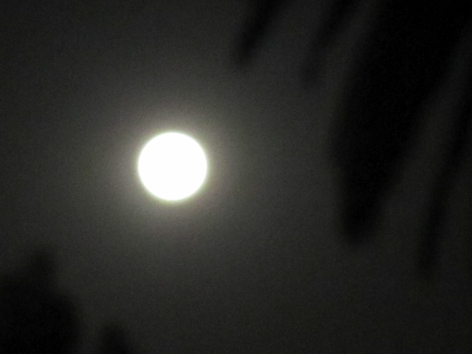 dating around reddit