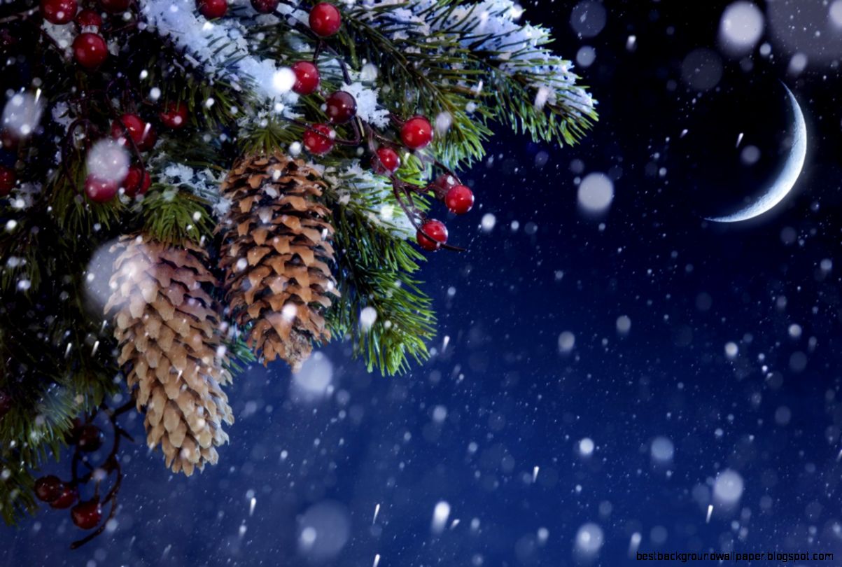 Wallpapers Holidays Christmas Pine cone Snow Moon Night Image Wallpapers Holidays Christmas Pine cone Snow Moon Night Image
