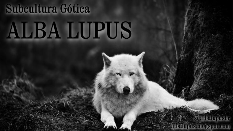 Siga o Alba Lupus no Instagram e no Facebook