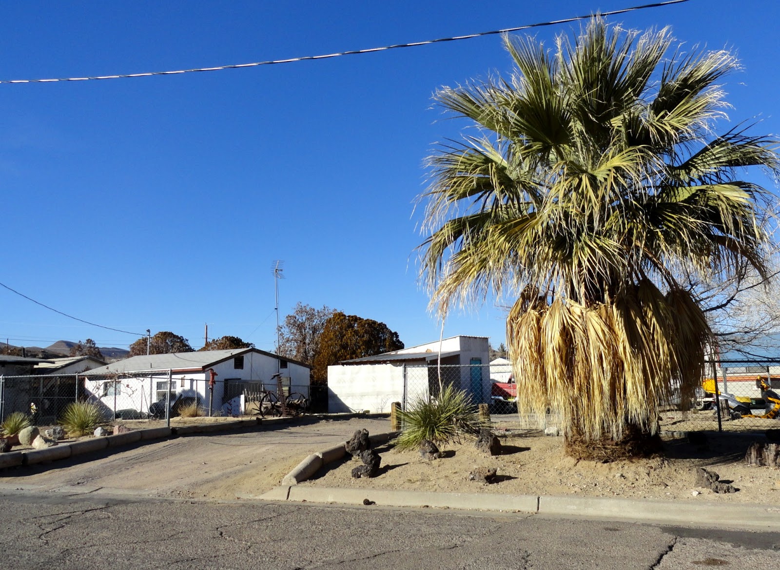 danger garden A few driveby’s in T or C, New Mexico...