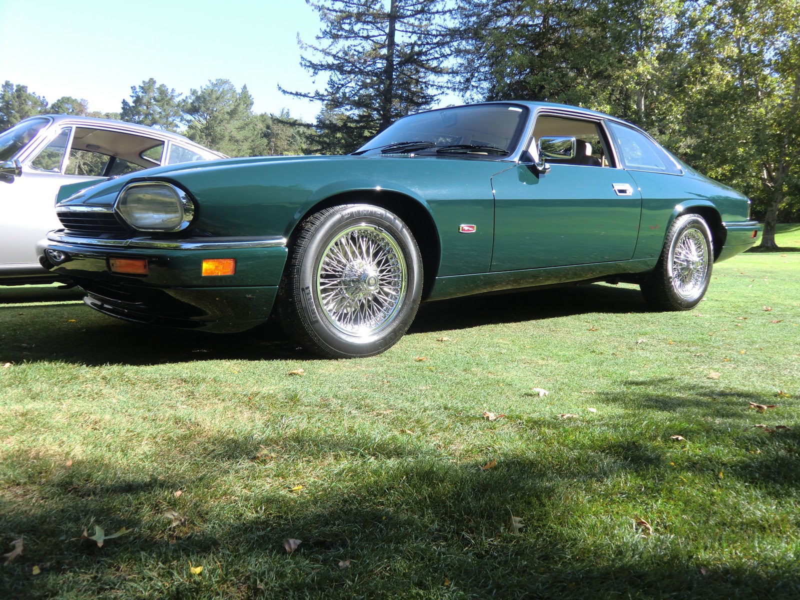 [Image: CIMG2891.JPG]