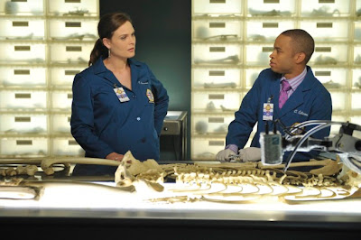 Watch Bones Season 7 Episode 4 - The Male in the Mail 
