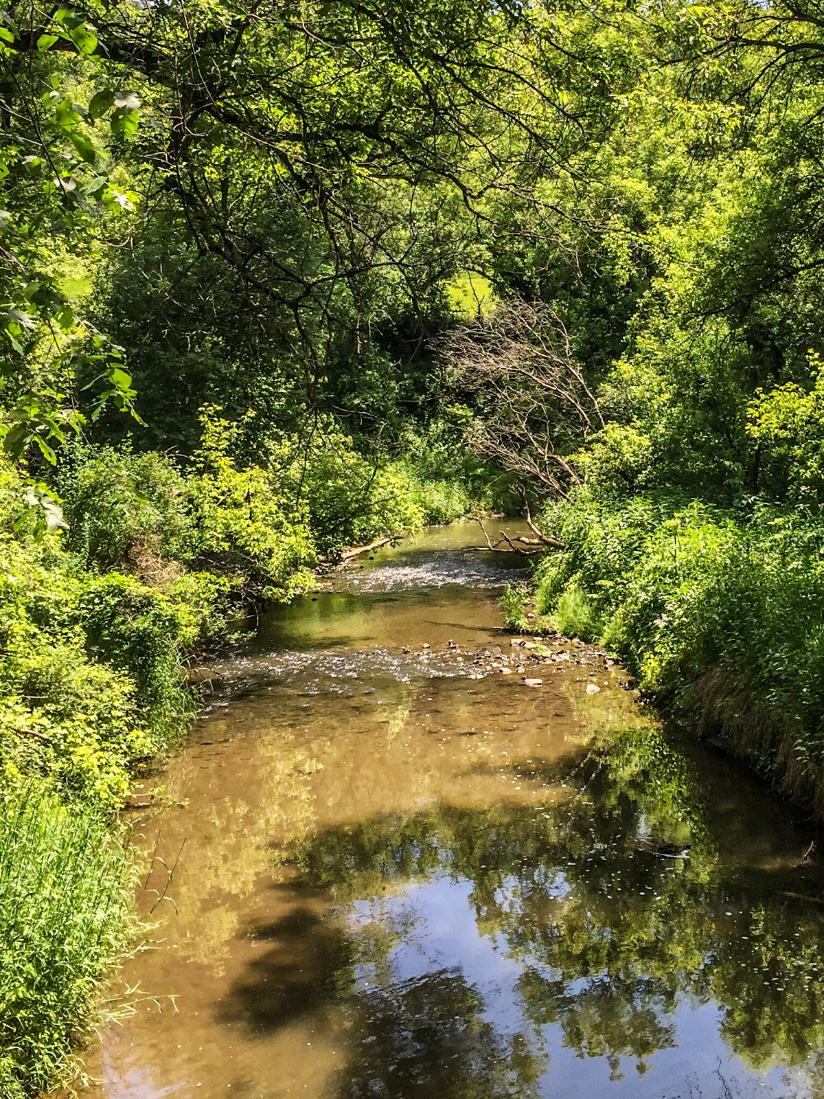 Wisconsin Explorer Elroy Sparta Bike Trail
