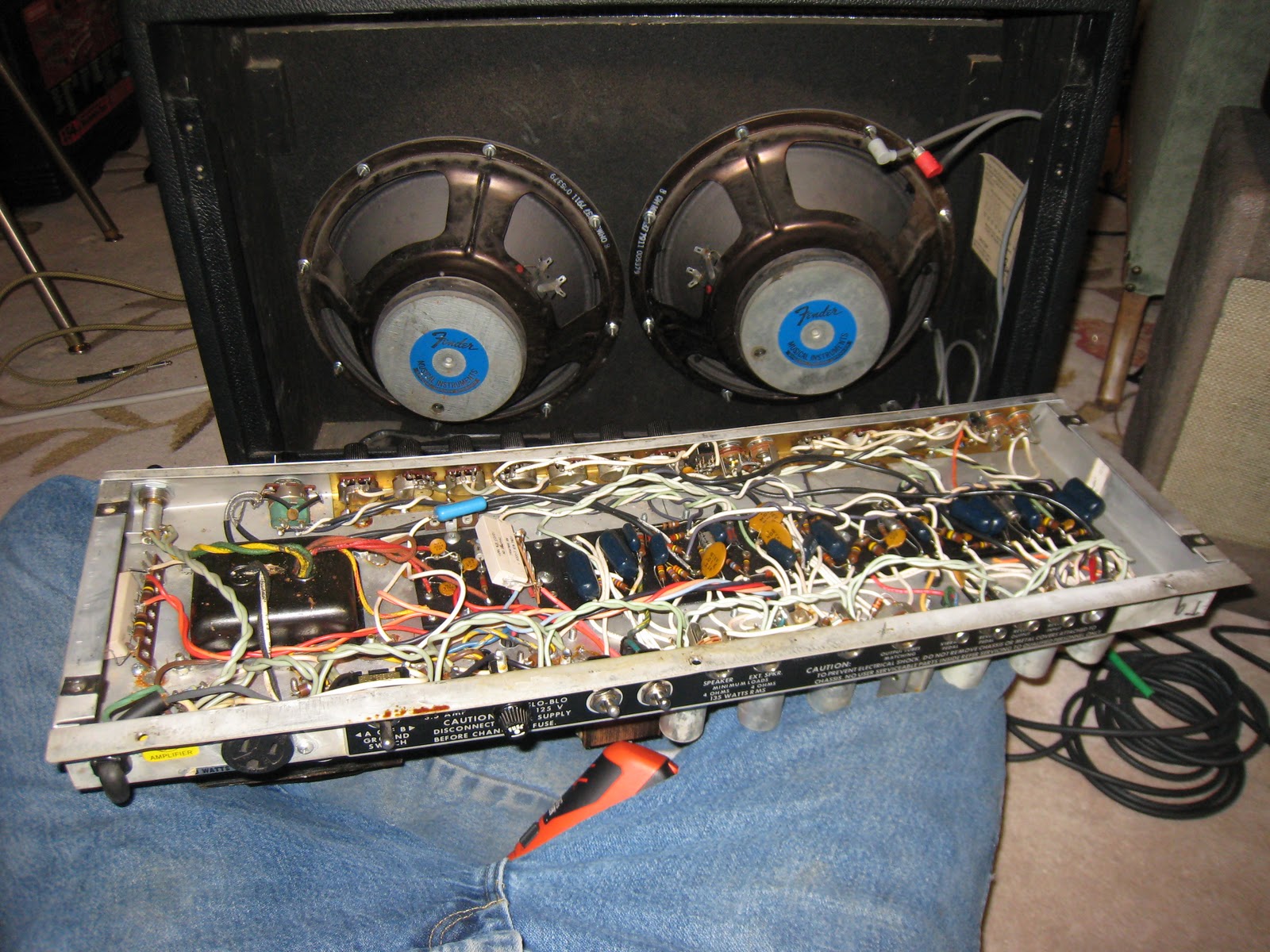 The Old, Weird, America Replacing Amplifier Speakers