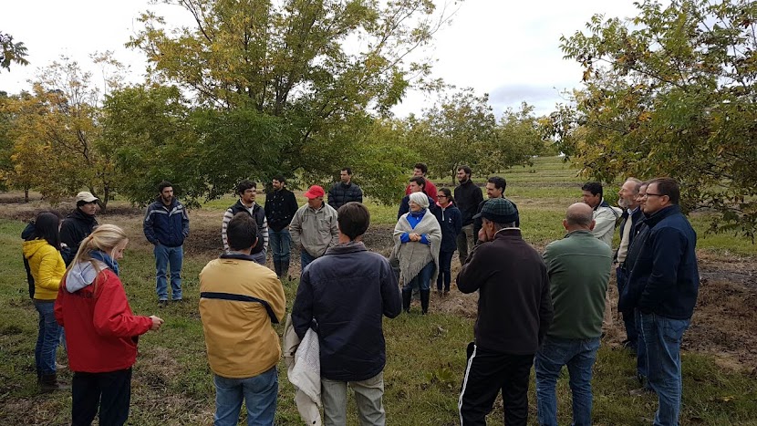 Asociación de Productores de Pecan del Uruguay