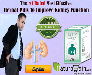 Boost Kidney Health Effectively