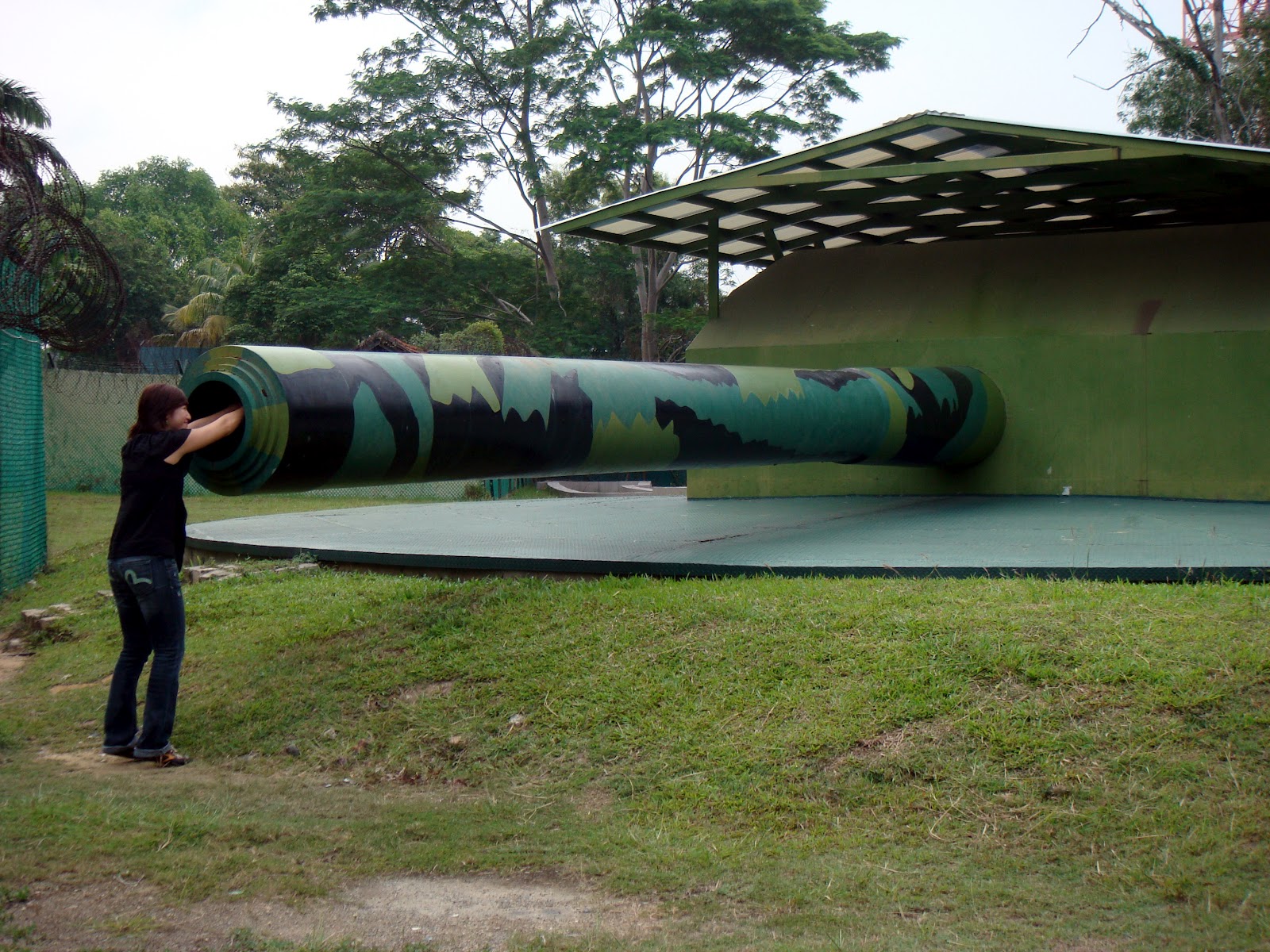 Novels published by DM Books Year of the Tiger Map & Images