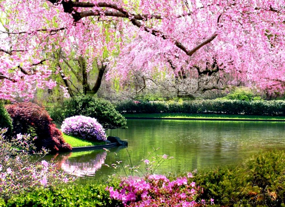 Free Early Spring Wallpaper HD Wallpapers on Free Early Spring Wallpaper HD Wallpapers on