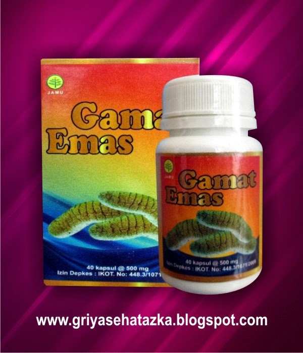GAMAT EMAS KAPSUL MURAH | jual | agen | asli ...