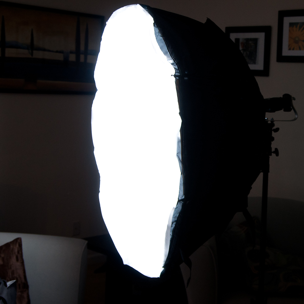 Jesus Albeniz Photography DIY 39'' Umbrella Soft Box for less than 30