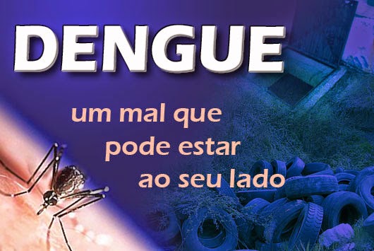 Paraíba tem 22 cidades em risco de epidemia de dengue, diz MS