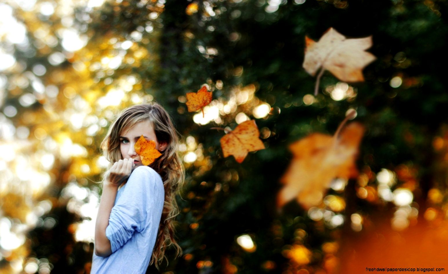Girl Autumn Foliage Wind 6981868 Girl Autumn Foliage Wind 6981868