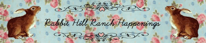 Rabbit Hill Ranch Happenings