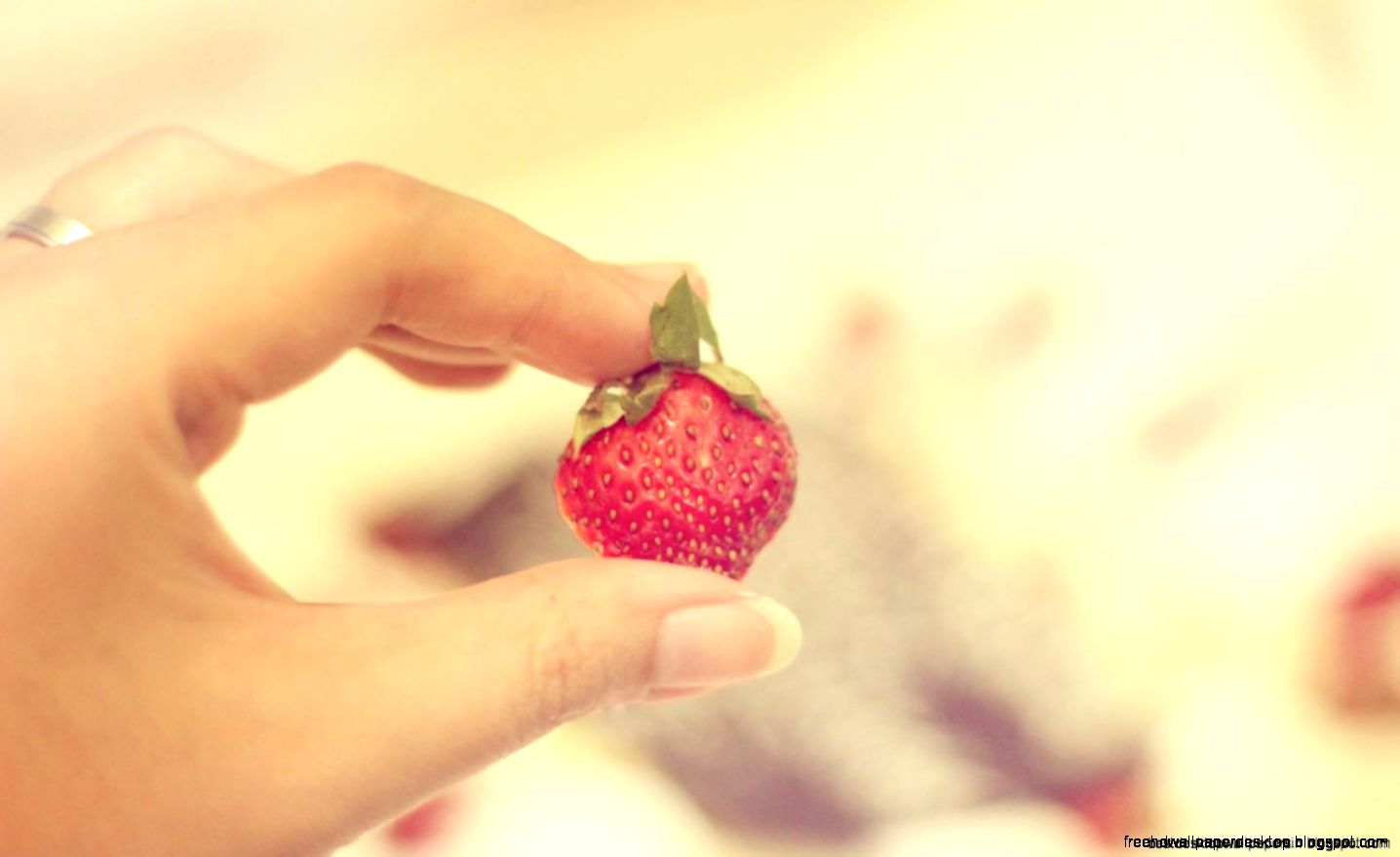Girl Hand Strawberry Hd Wallpaper Best Desktop Wallpapers Girl Hand Strawberry Hd Wallpaper Best Desktop Wallpapers