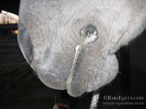 dejting spel online gratis lätta