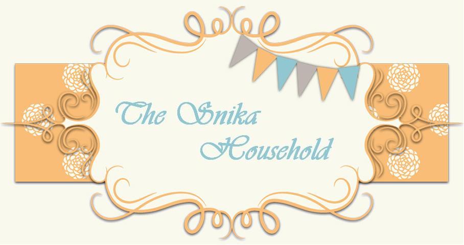 The Snika Household