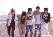 SS501 (Double S Five O One)