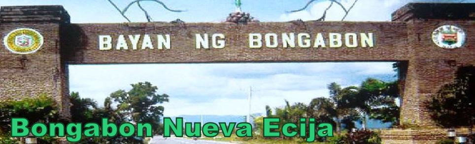 Bongabon Nueva Ecija