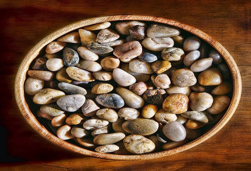 Five for Fr...aturday Exciting Earth Science! Joy in the Journey