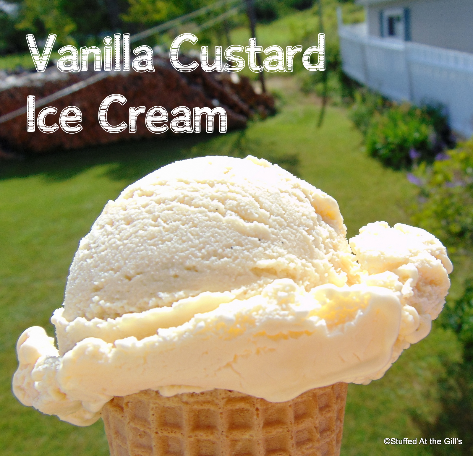 Homemade Vanilla Custard Ice Cream