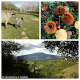 Salaiola: Primo Borgo Naturalistico d'Italia