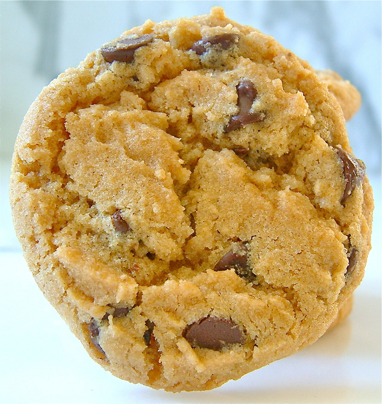 My Recession Kitchen...and garden Crispy Chewy Chocolate Chip Cookies