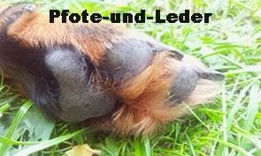 http://www.pfote-und-leder.de/