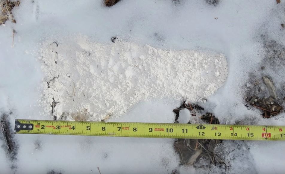 This Is A Huge Collection Of Bigfoot Evidence From Colorado