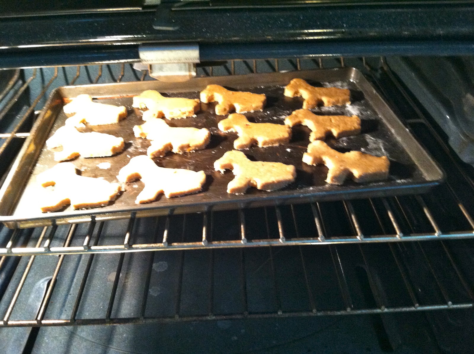 Claris's Cookbook Peanut Butter and Honey Dog Treats