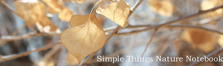 Simple Things Nature Notebook