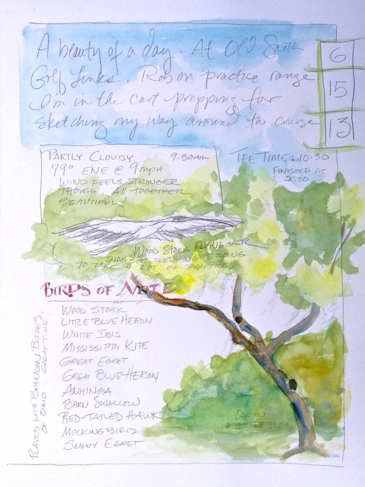 South Carolina Low Country Nature Journaling and Art: Capturing the ...