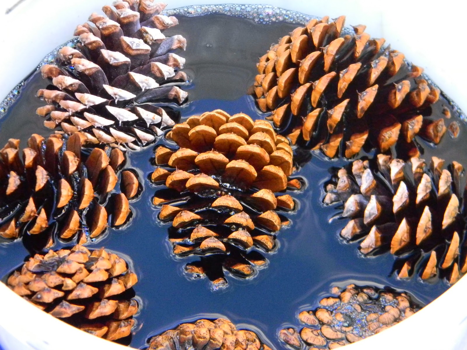 Artistic Endeavors 101 Dyeing Pine Cones with RIT Dye
