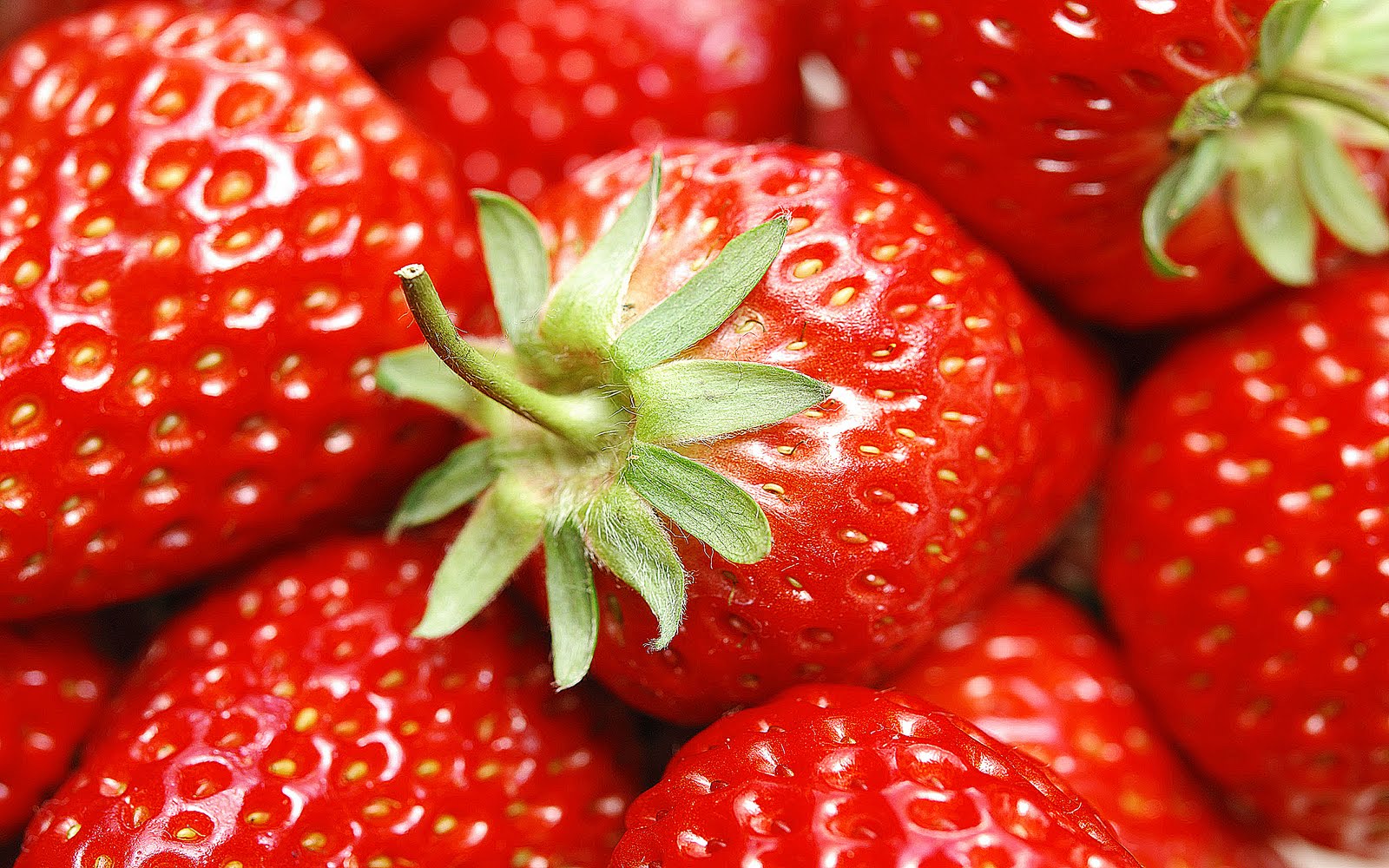 Pinch of Lime: It #39 s a Strawberry Invasion Pinch of Lime: It #39 s a Strawberry Invasion
