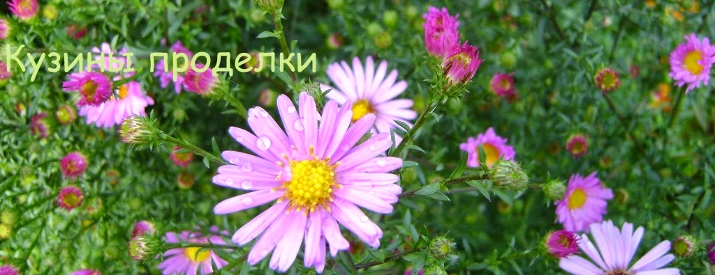 Кузины проделки