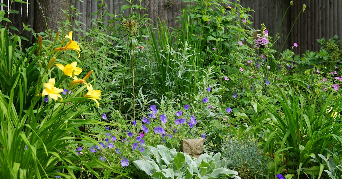 Nyack Garden Journal Plant Combinations