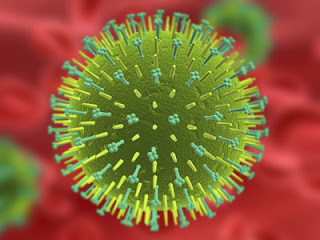 3d rendering of the influenza virus. ©iStockphoto/Eraxion