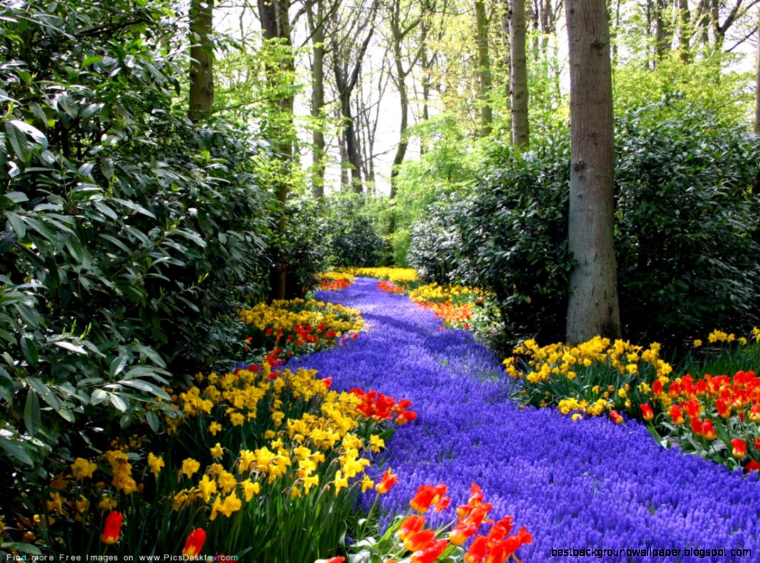 Nature Springtime Free Desktop Wallpapers for PC amp Mac 72 Nature Springtime Free Desktop Wallpapers for PC amp Mac 72