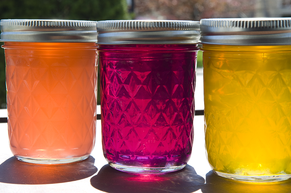 The 3 Foragers Foraging for Wild, Natural, Organic Food Preserving