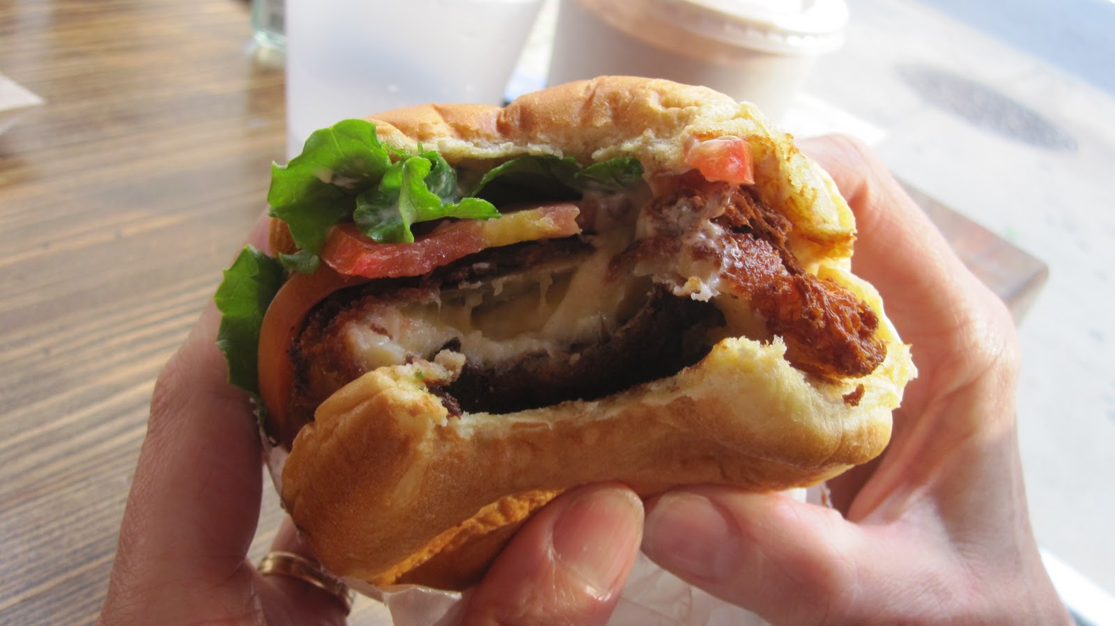 Cannundrums Shake Shack NYC