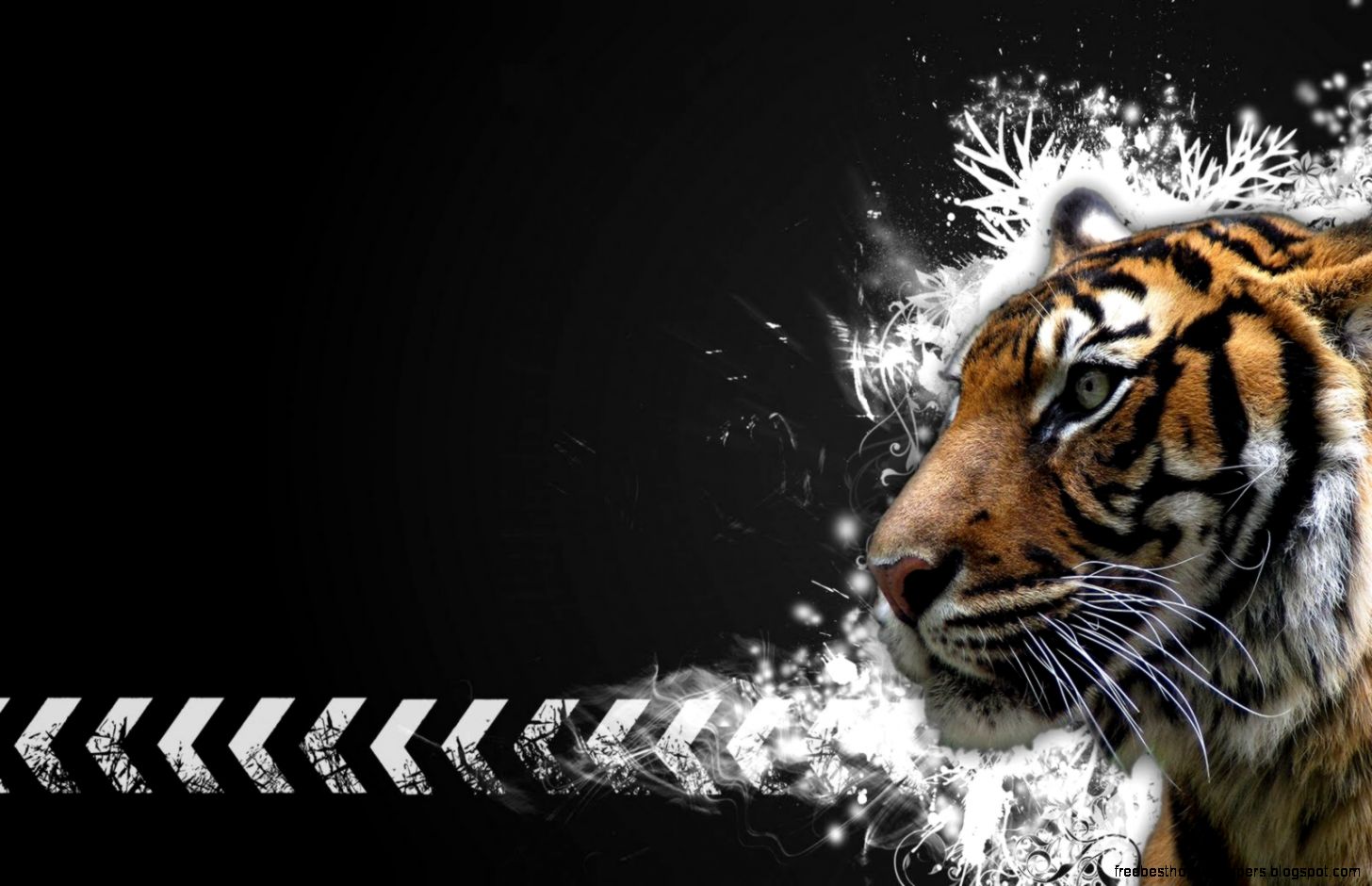 Beautiful Tiger Image 2015 Hd Background Wallpaper 21 Beautiful Tiger Image 2015 Hd Background Wallpaper 21