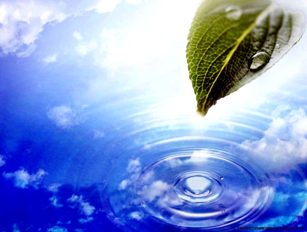Free Animated Nature Wallpapers For Desktop Background 1 HD Free Animated Nature Wallpapers For Desktop Background 1 HD