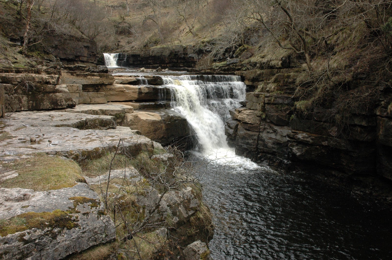 kisdon force