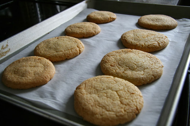 Corn cookies finished in the oven. 