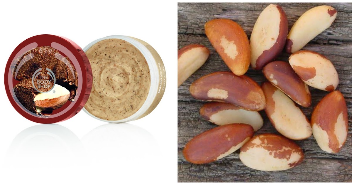 The Body Shop Brazil Nut Collection Back by Popular Demand! The