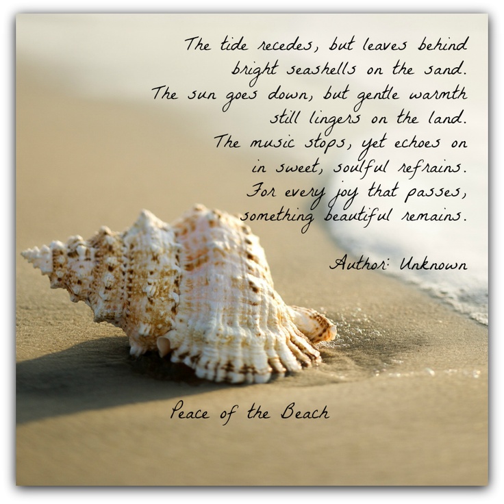 wix quote seashell quotes sea shell quotes