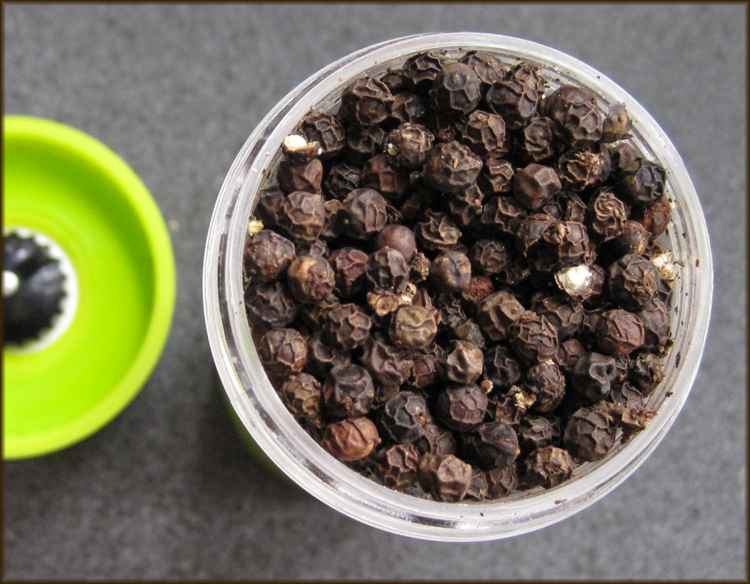 Dual Grind Salt and Pepper Mill by Judge Review A Glug of Oil