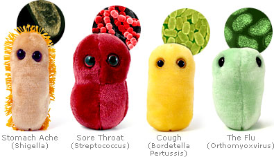 peluches bacterias