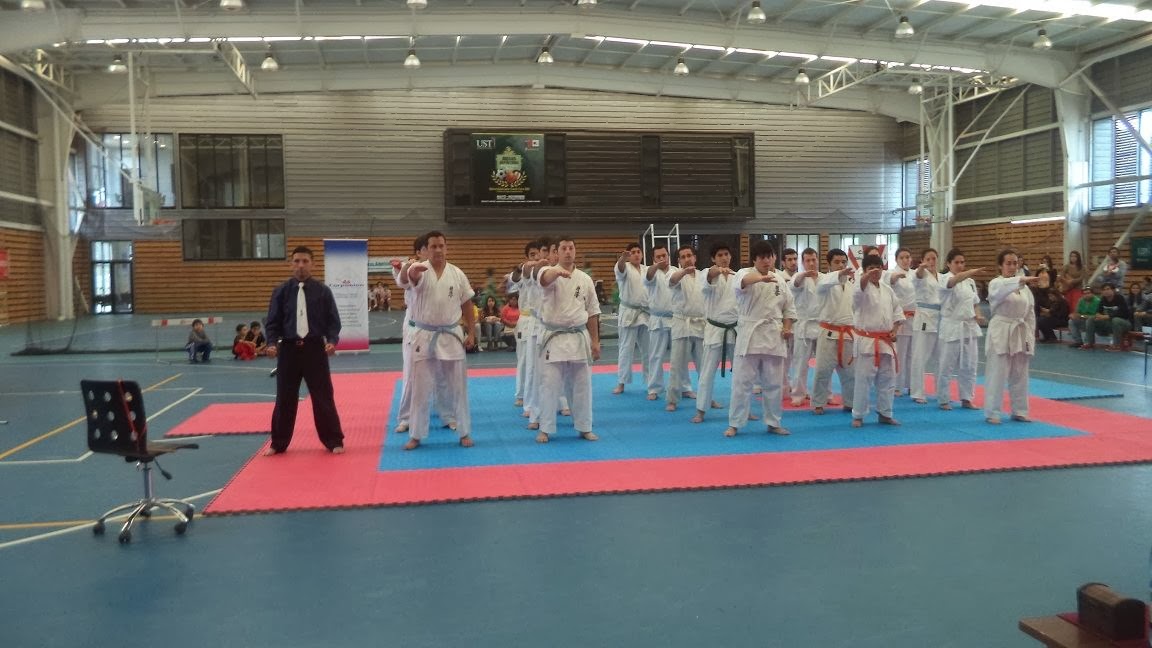 Torneo Regional Kyokushin 2013 en Talca